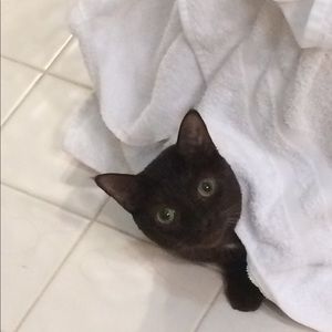 Meet your Posher, Madmadeline